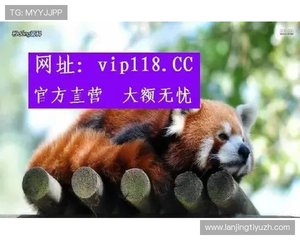 大赢家足球即时比分满足足球爱好者对比赛实时信息的所有需求